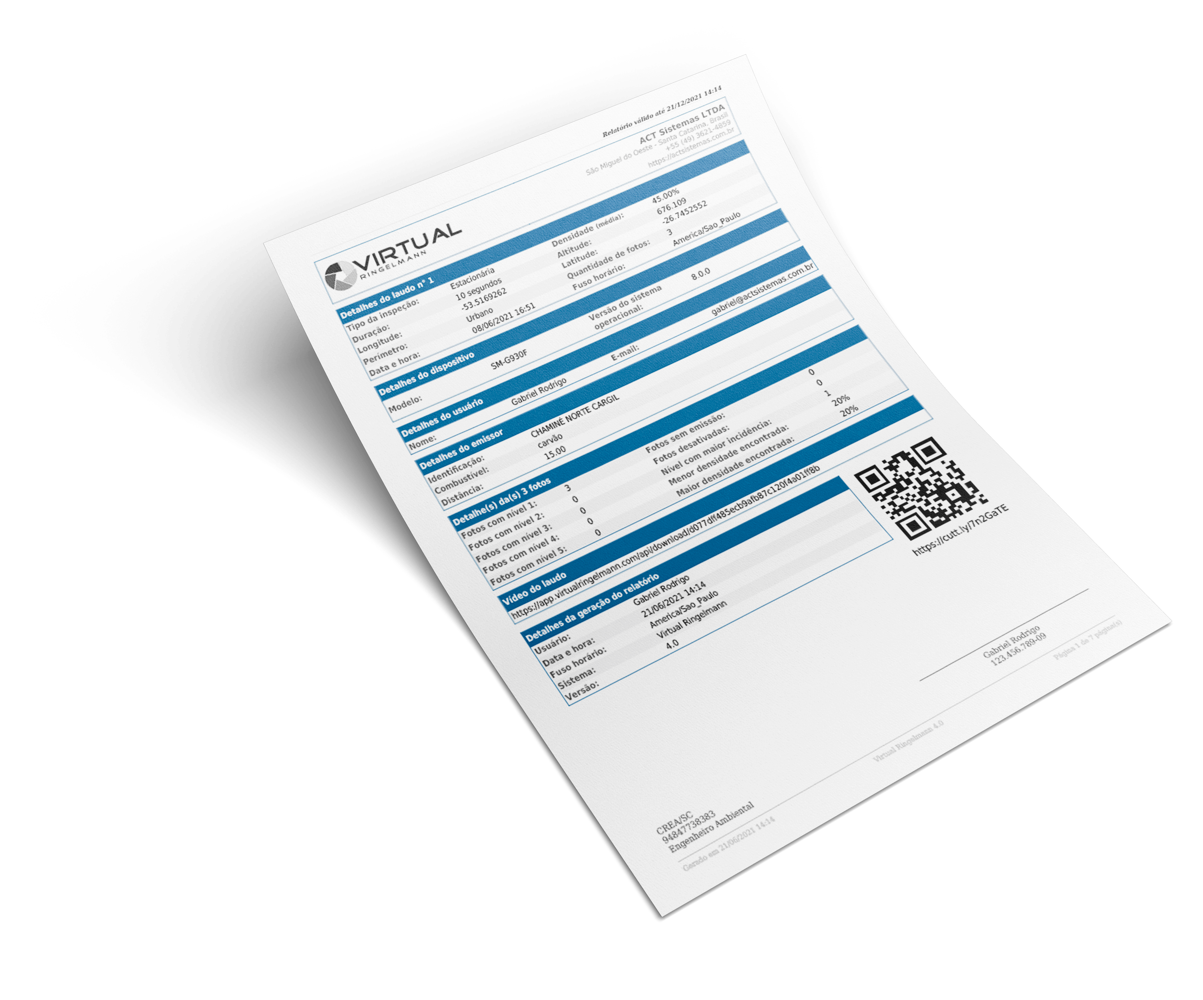 processos Virtual Ringelmann